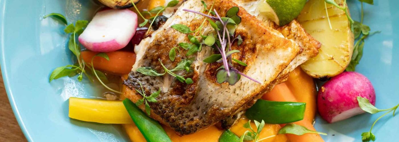 Hotel Faranda Single 1 Punta Cana Bavaro Hotel Faranda Single 1 Punta Cana Bavaro