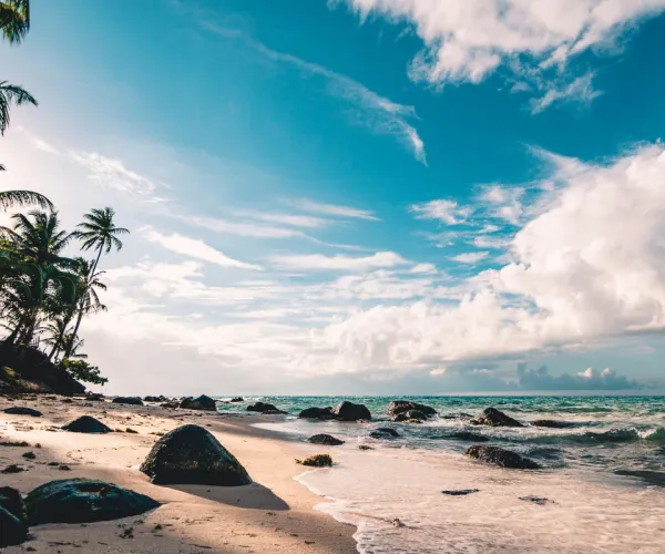 Sanoa Island Faranda Single 1 Punta Cana Sanoa Island Faranda Single 1 Punta Cana